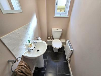 Picture 16